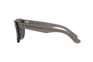 Gafas de sol Ray-Ban RBR0502S Reverse Wayfarer