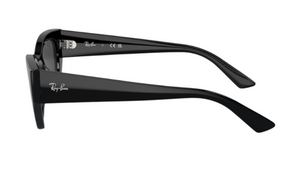 Gafas de sol Ray-Ban RB4430 Zena