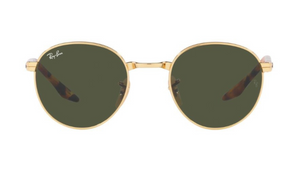 Gafas de sol Ray-Ban RB3691
