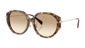 Gafas de sol Michael Kors MK2248D Jinan