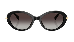 Gafas de sol Michael Kors MK2245U Rockaway