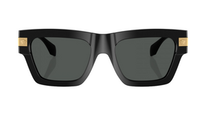 Gafas de sol Versace VE4464