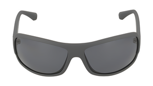 Gafas de sol Emporio Armani EA4012