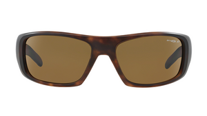 Gafas de sol Arnette AN4182 Hot Shot