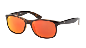 Gafas de sol Ray-Ban RB4202 Andy