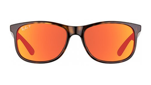 Gafas de sol Ray-Ban RB4202 Andy