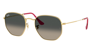 Gafas de sol Ray - Ban RB3548/N