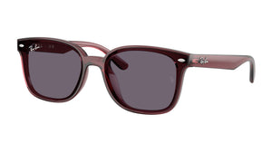 Gafas de Sol Ray - Ban RB4461D
