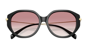 Gafas de sol Michael Kors MK2248D