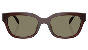 Gafas de sol Armani Exchange AX4155SU