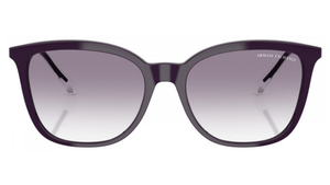 Gafas de sol Armani Exchange AX4151S