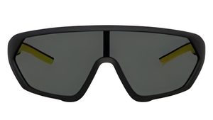 Gafas de sol Ferrari FZ6017U