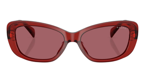 Gafas de sol Ralph Lauren RA5322U