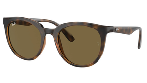 Gafas de sol Ray - Ban RB4383L