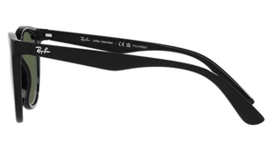 Gafas de sol Ray - Ban RB4383L
