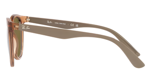 Gafas de sol Ray - Ban RB4383L
