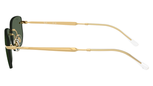 Gafas de sol Ray - Ban RB3768