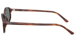 Gafas de sol Ray - Ban RB2232