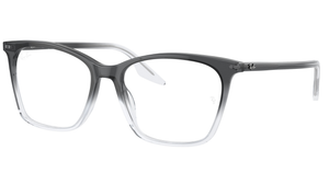 Montura Ray - Ban RB5422