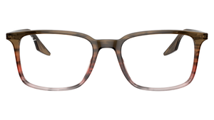 Montura Ray - Ban RB5421
