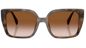 Gafas de sol Ralph Lauren RA5347L