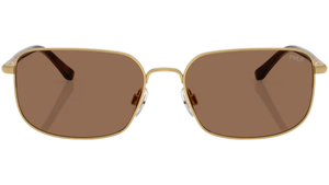 Gafas de sol Polo Ralph Lauren PH3159