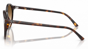 Gafas de sol Ray - Ban RB2230