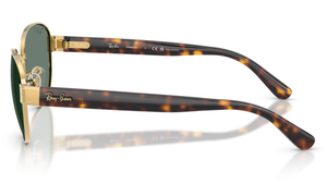 Gafas de sol Ray-Ban RB3766CH