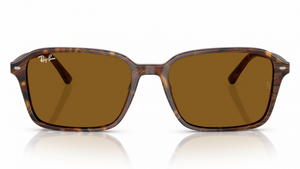 Gafas de sol Ray - Ban RB2231 Raimond