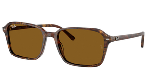 Gafas de sol Ray - Ban RB2231 Raimond