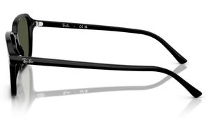 Gafas de sol Ray - Ban RB2231 Raimond