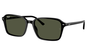 Gafas de sol Ray - Ban RB2231 Raimond