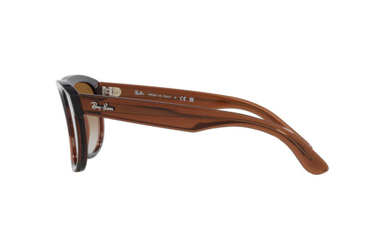 Gafas de sol Ray-Ban RBR0501S Reverse Boyfriend