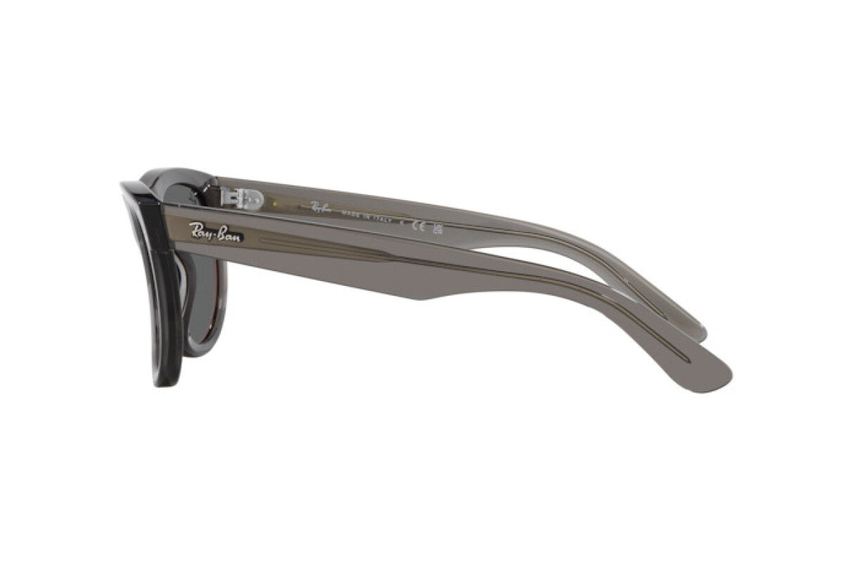 Gafas de sol Ray-Ban RBR0502S Reverse Wayfarer