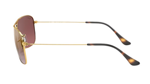Gafas de sol Ray-Ban RB3543