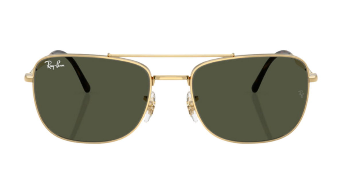 Gafas de sol Ray-Ban RB3755