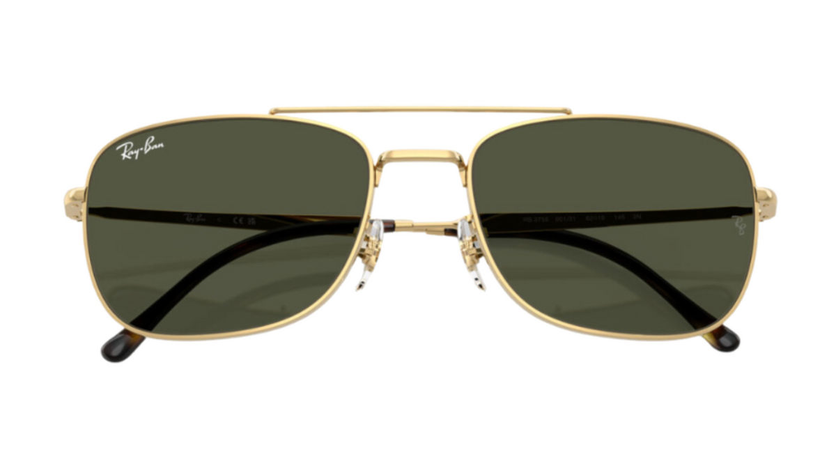 Gafas de sol Ray-Ban RB3755