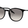 Gafas de sol Ray-Ban RB2204