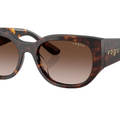 Gafas de sol Vogue VO5641SU