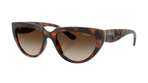 Gafas de sol Vogue VO5629S