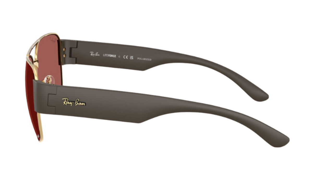 Gafas de sol Ray-Ban RB3756CH