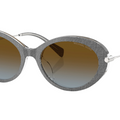 Gafas de sol Michael Kors MK2245U Rockaway