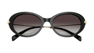 Gafas de sol Michael Kors MK2245U Rockaway