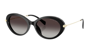 Gafas de sol Michael Kors MK2245U Rockaway