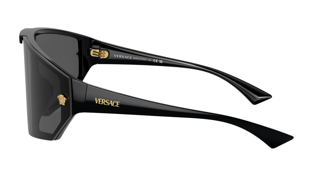 Gafas de sol Versace VE4461