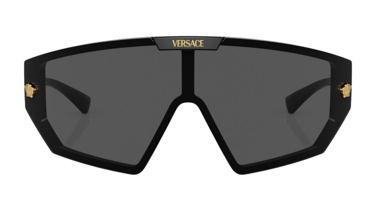 Gafas de sol Versace VE4461