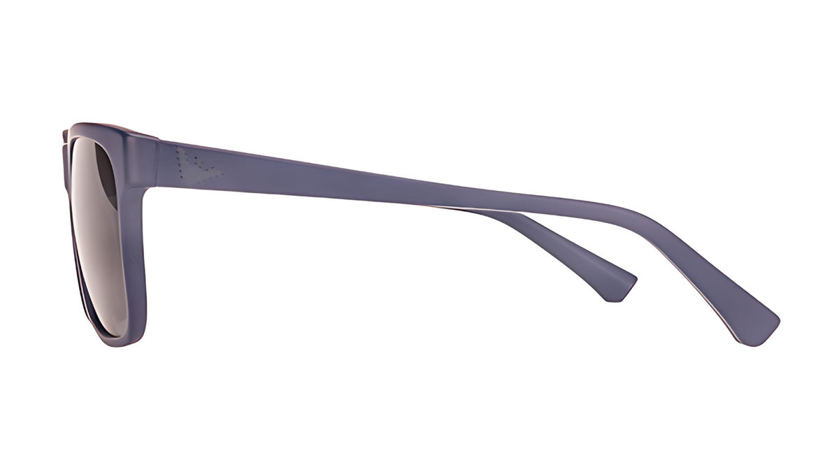 Gafas de sol Emporio Armani EA4002