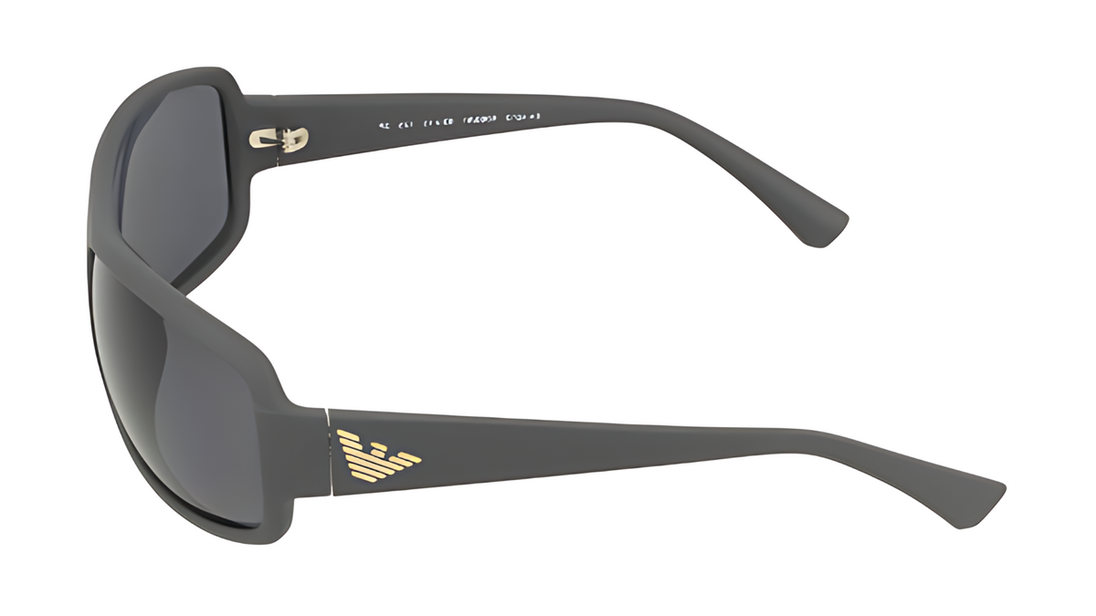 Gafas de sol Emporio Armani EA4012