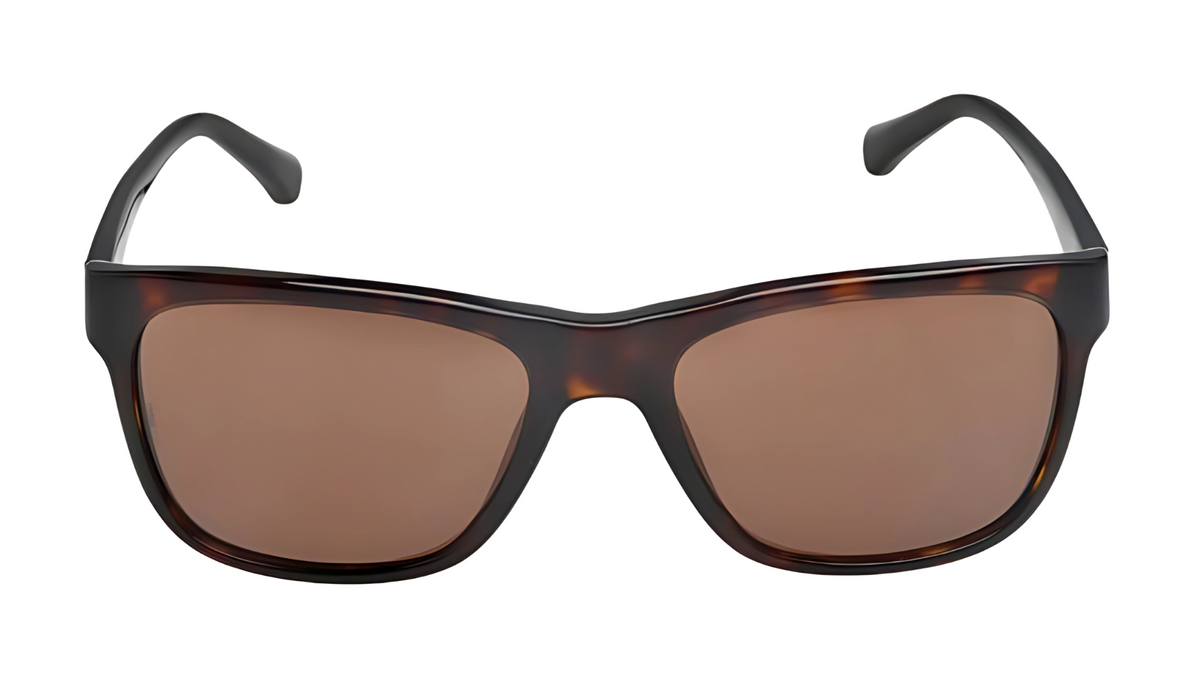 Gafas de sol Emporio Armani EA4002