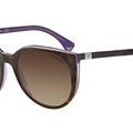 Gafas de sol Emporio Armani EA4043